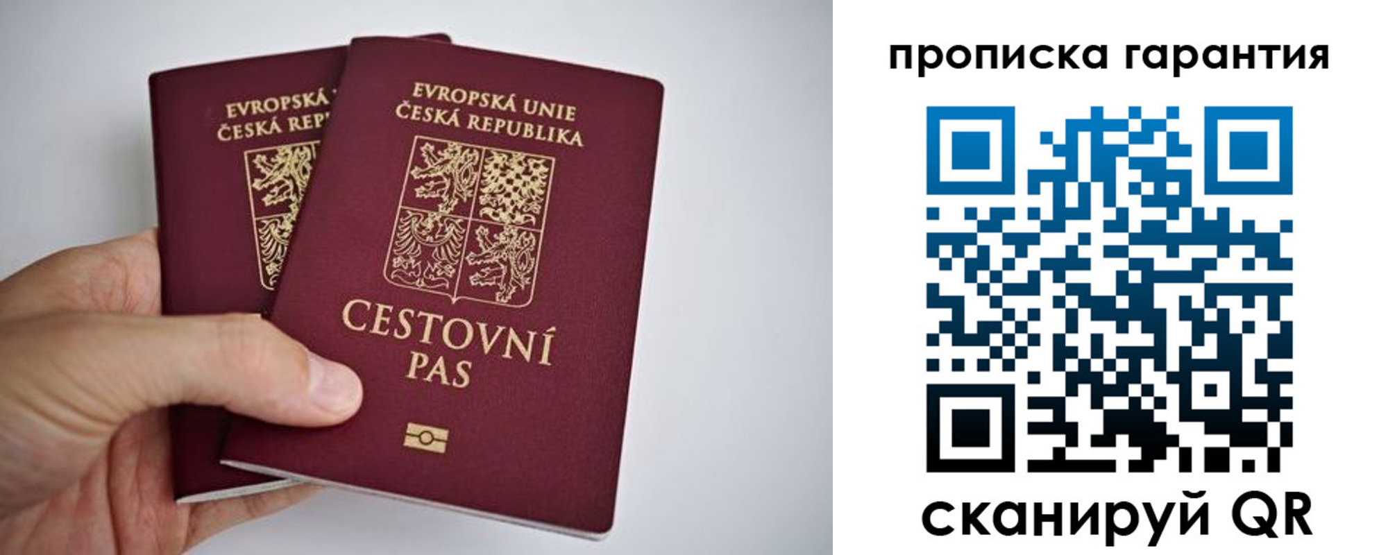прописка в Ершове